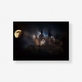 Готический замок в лунном свете